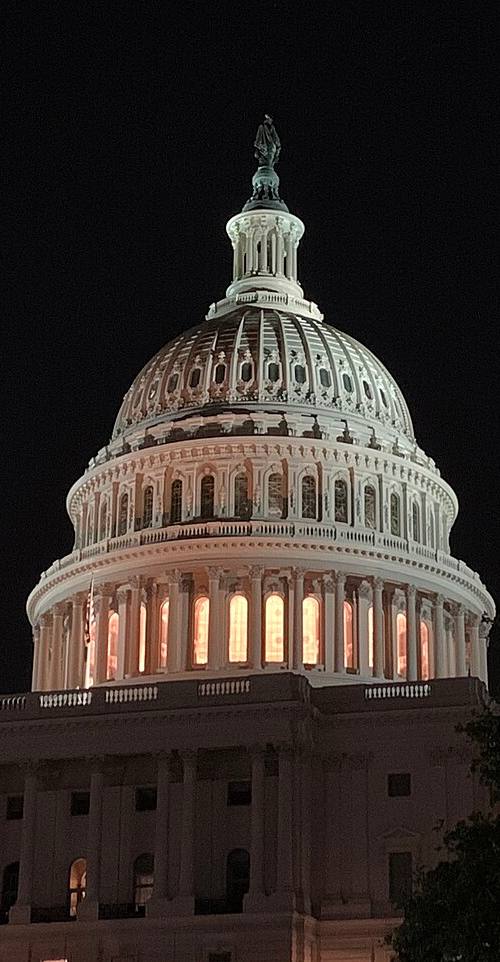 La cúpula del Capitolio de Estados Unidos iluminada de noche