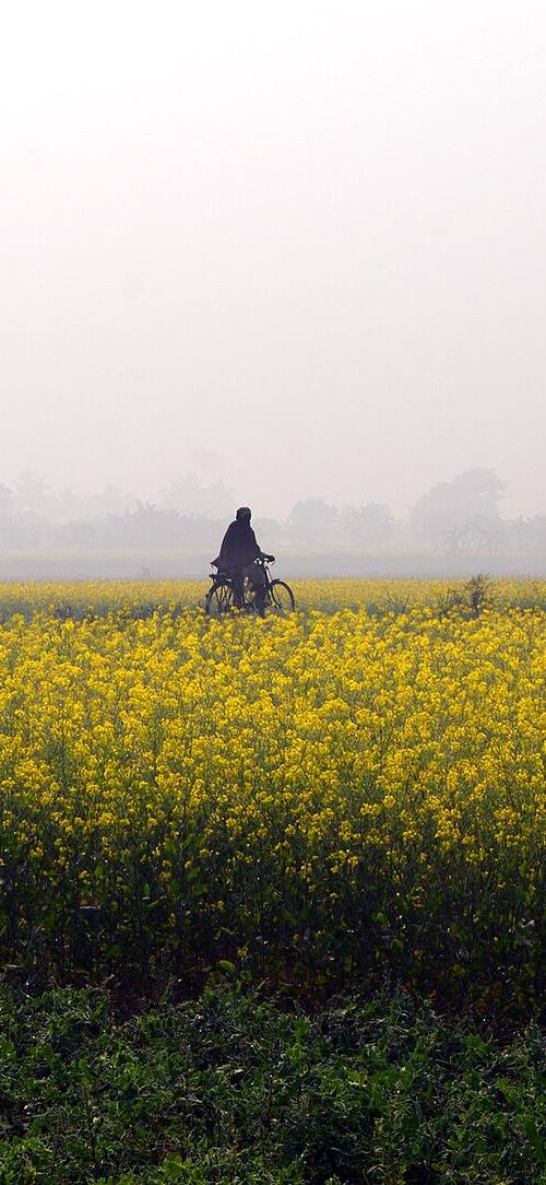 Vida rural y explotaciones agrícolas en la India