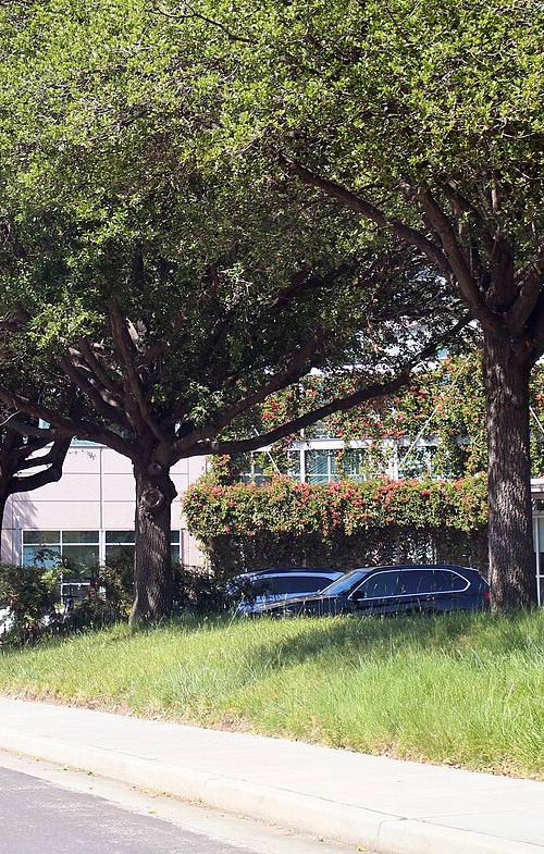 Letrero corporativo de Broadcom junto a la entrada principal de un edificio de oficinas de su sede en San José, California, rodeado de árboles y jardines, con coches aparcados frente a la puerta.